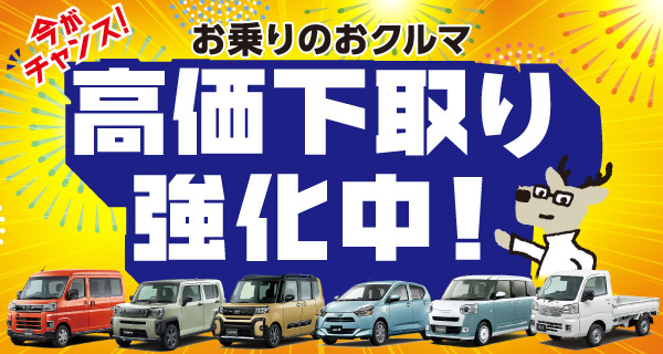 今がチャンス！お乗りのおクルマ高価下取り強化中！